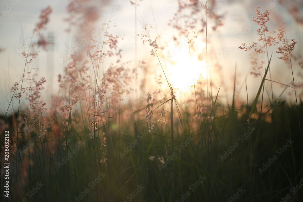 Glassland sunrise Glassland sunrise