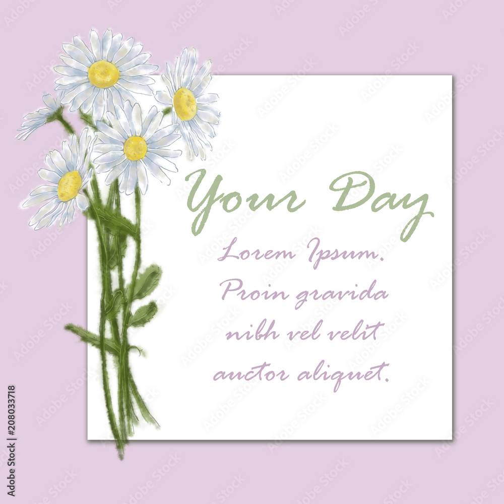 Daisy Bouquet on Pink Background with Square Card for Text Space on White. Chamomile Bunch Decorated Card for Prints, Invitations, Cards, Announcements, Advertising, Posters and other Printable. Daisy Bouquet on Pink Background with Square Card for Text Space on White. Chamomile Bunch Decorated Card for Prints, Invitations, Cards, Announcements, Advertising, Posters and other Printable.