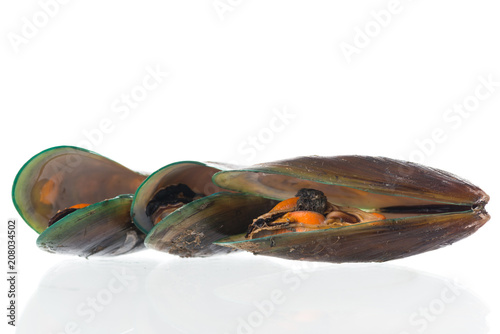 Steamed mussel on white background