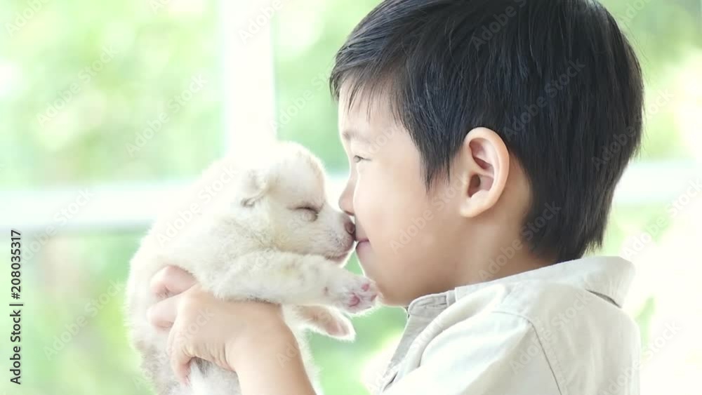 Cute asian child kissing siberian husky puppy Cute asian child kissing siberian husky puppy