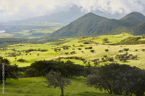 plaine des cafres, reunion island, 