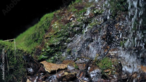 Waterfall green forest river stream landscape photo