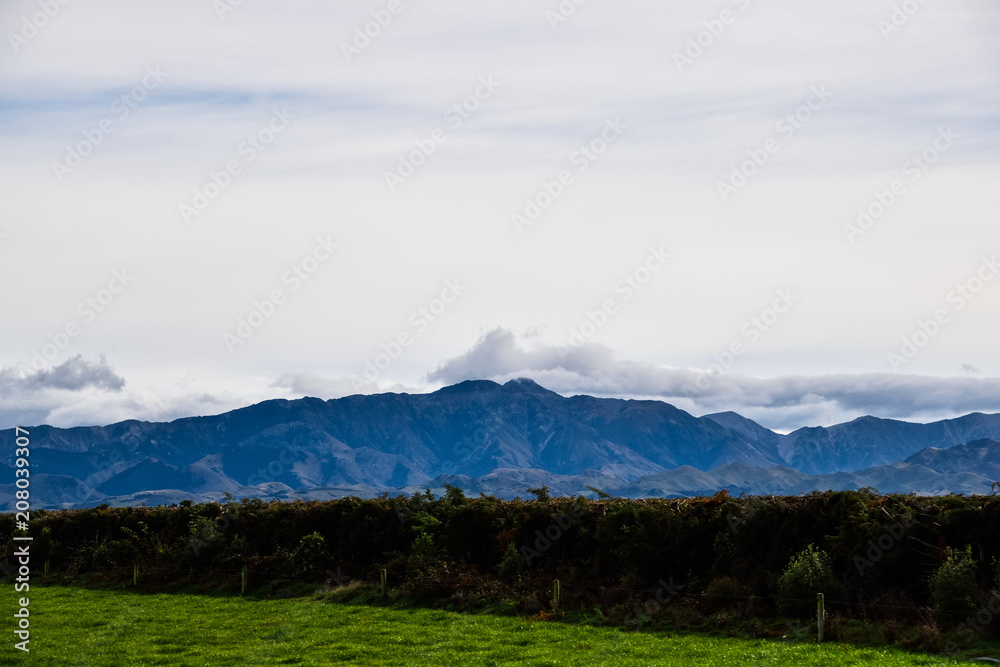 countryside with mountain view  of South island, New Zealand