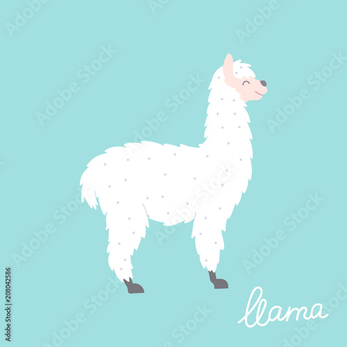 Vector illustration of  llama