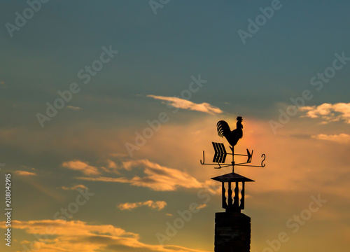 Bilde på lerret Iron rooster weather-vane showing a wind direction