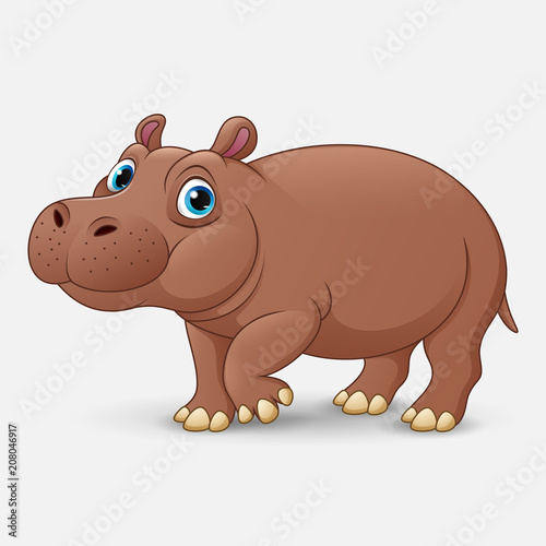 Cute hippo cartoon isolated on white background