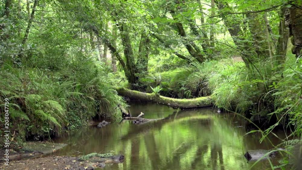 Lockdown Shot of Bushland in Gijon Lockdown Shot of Bushland in Gijon