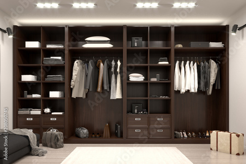 beautiful wood horizontal wardrobe and walk in closet. 3d illustration photo