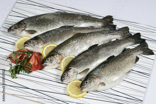 Fresh trout of a wooden table with slices of a lemon and tomato