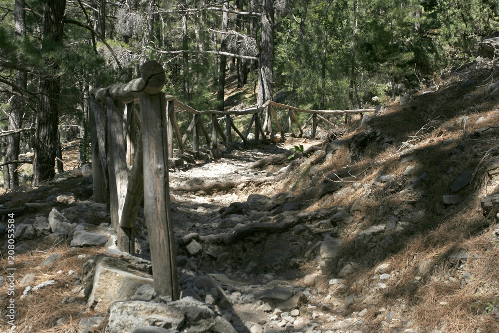 The trekking path with the wooden fence on the slope in the mountain pine forest on the sunny day on Crete island. The trekking path with the wooden fence on the slope in the mountain pine forest on the sunny day on Crete island.