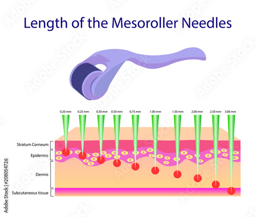 Length of the mesoroller needles, Vector illustration photo