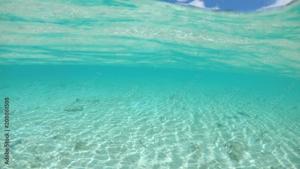 HALF UNDERWATER Amazing view of scenic hotel right on the breathtaking exotic white sand beach. Awesome resort surrounded by palm trees looking at glassy ocean. Perfect summer holiday destination. HALF UNDERWATER Amazing view of scenic hotel right on the breathtaking exotic white sand beach. Awesome resort surrounded by palm trees looking at glassy ocean. Perfect summer holiday destination.