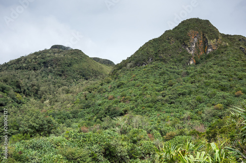 The slope of mount Sibayak