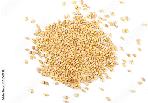 Wheat grains, kernel pile isolated on white background, top view