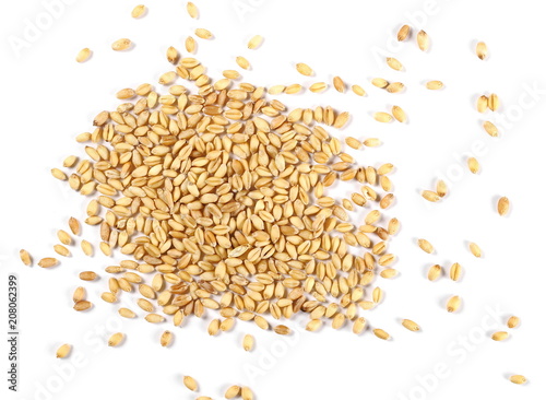 Wheat grains, kernel pile isolated on white background, top view