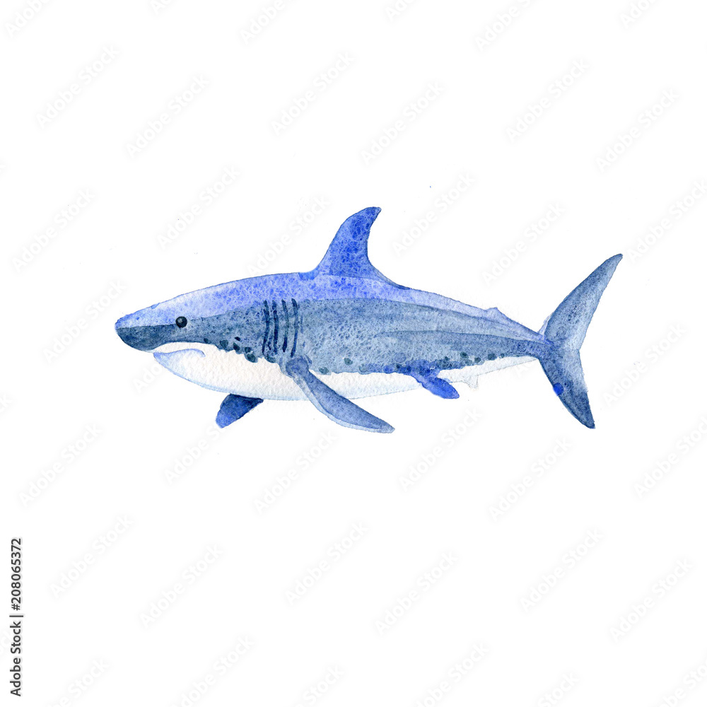 Naklejka premium Raster akwarela rekina. Zwierzęta podwodny świat rastrowy.