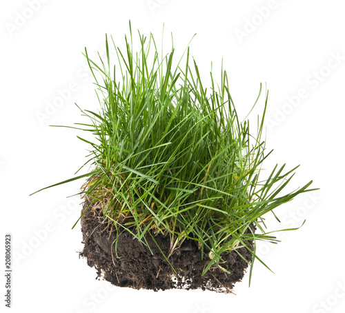 Photography grass, soil and grass isolated on white background