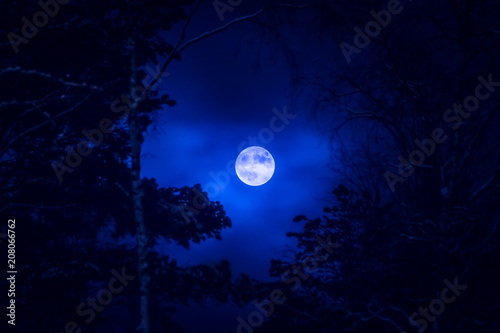 Full moon and tree silhouette. Photo from Sotkamo, Finland.