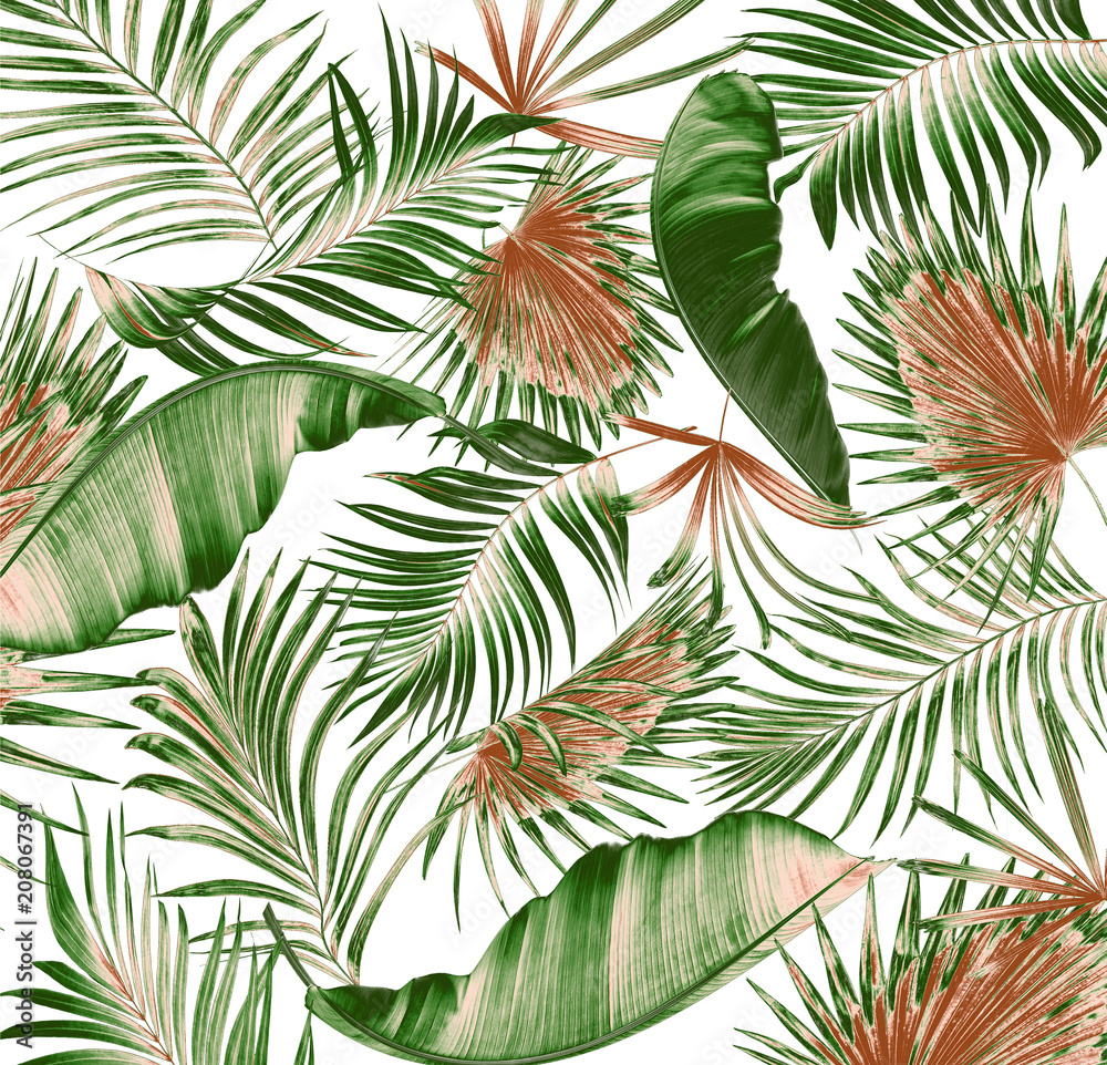 Fototapeta premium mix green leaves of palm tree on white background