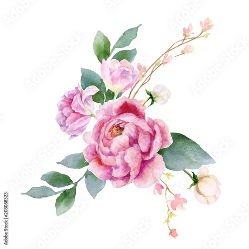 Watercolor vector hand painting illustration of peony flowers and green leaves. photo