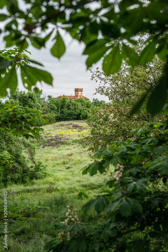 Obraz premium castle beyond the meadow