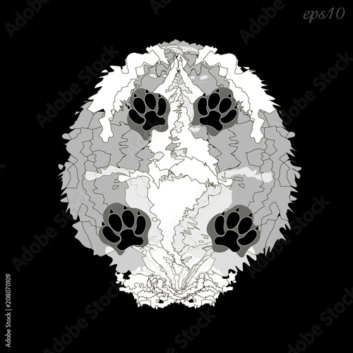 Shaggy white dog
Abstract composition on black background style pop art trunk fluffy animal four black paws
