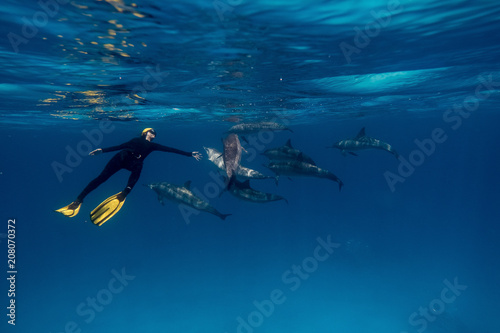 Girl freediver together with dolphins in Red sea