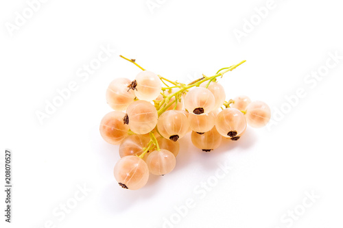 White currant berry isolated on white. A bunch of white currant..