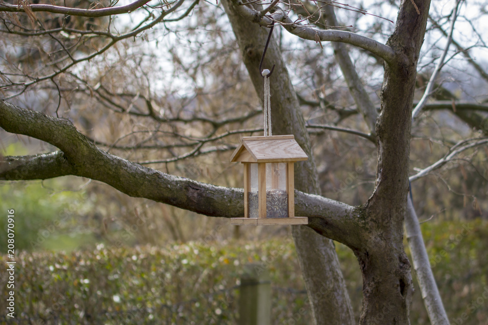 Bird feeding house hangs in the tree Bird feeding house hangs in the tree
