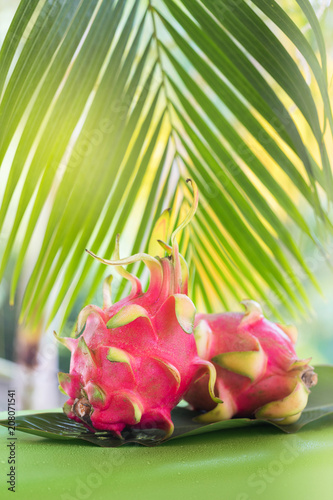 Fresh, tasty tropic, exotic dragon pitahya dragon fruit near palms photo