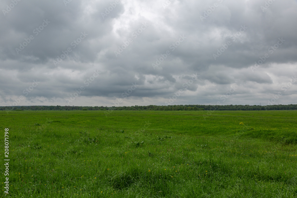 An uncultivated field with a green grass against a cloudy sky
