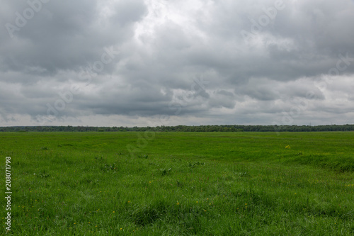 An uncultivated field with a green grass against a cloudy sky 