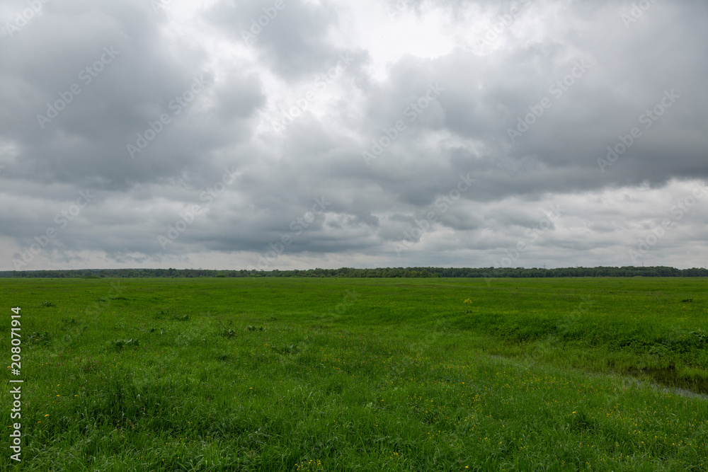 An uncultivated field with a green grass against a cloudy sky
An uncultivated field with a green grass against a cloudy sky