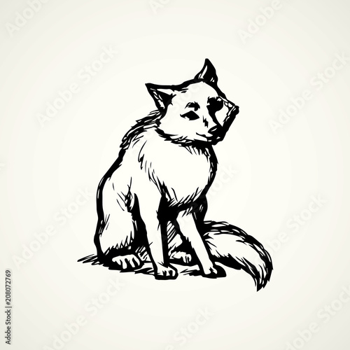 Wolf. Vector drawing