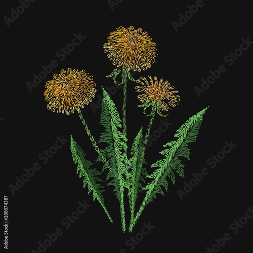 Blooming dandelion flower embroidered with stitches on black background. Embroidery design with beautiful wild meadow flowering herb. Gorgeous needlework, handicraft. Colorful vector illustration.