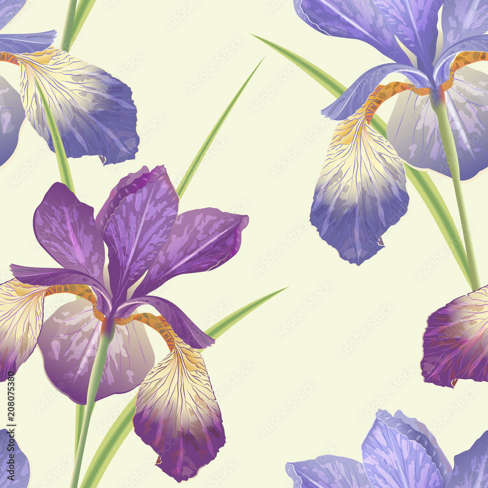 Vector botanical seamless pattern with iris flowers. Modern floral pattern for textile, wallpaper, print, gift wrap, greeting or wedding background. Spring or summer design.