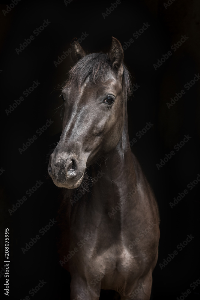 Obraz premium Geyline de Us