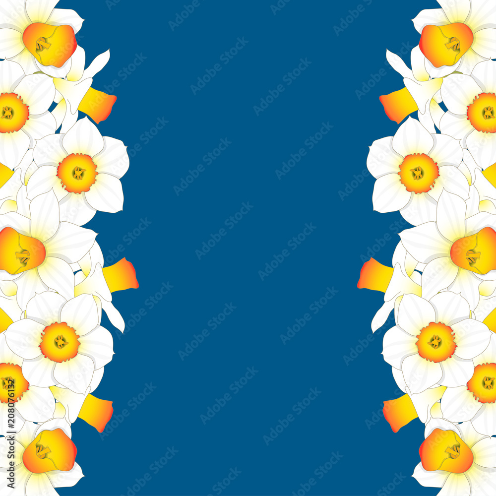 Fototapeta premium Daffodill - Narcissus Border on Indigo Blue Background