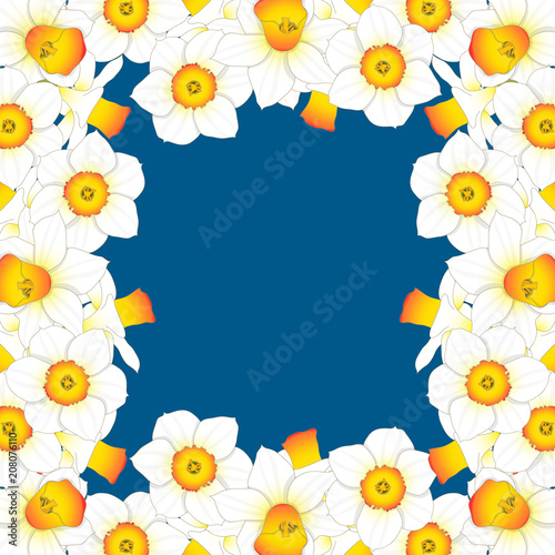 Fototapeta Naklejka Na Ścianę i Meble -  Daffodill - Narcissus Border on Indigo Blue Background