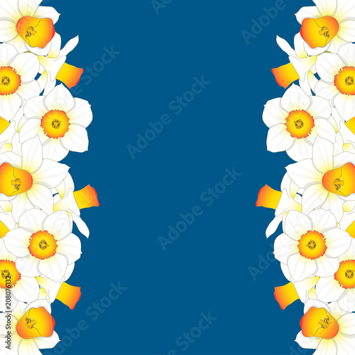 Fototapeta Naklejka Na Ścianę i Meble -  Daffodill - Narcissus Border on Indigo Blue Background