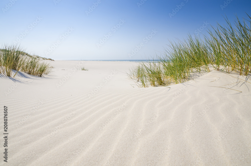 Fototapeta premium Dzika bałtycka plaża w Białogórze