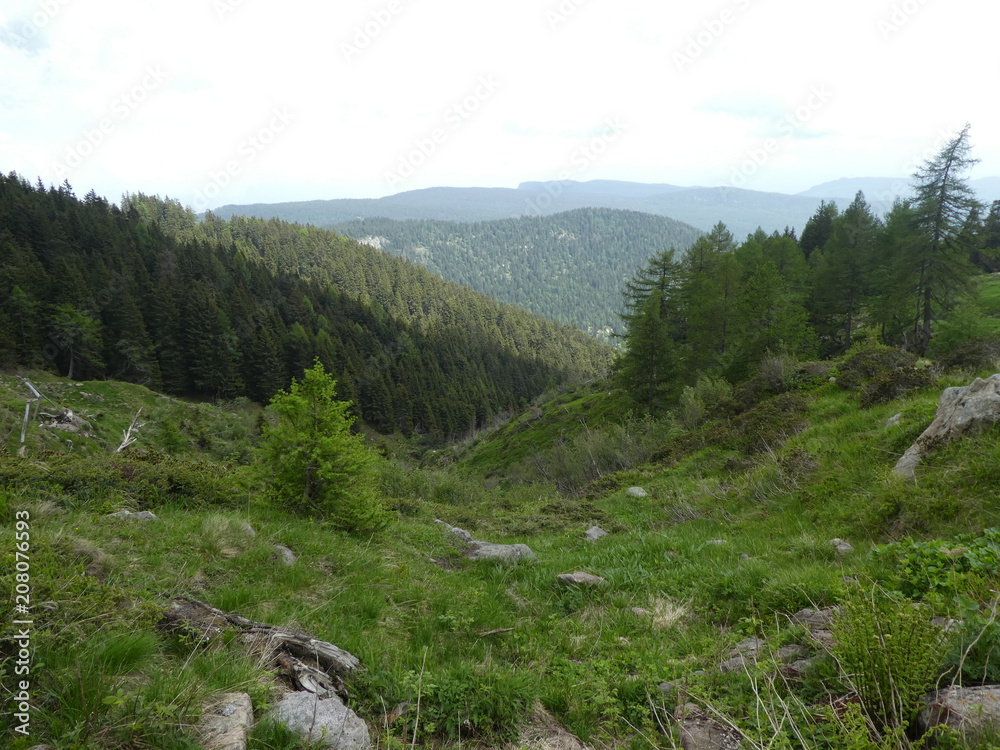 landscape of the mountains of south tyrol italy europe