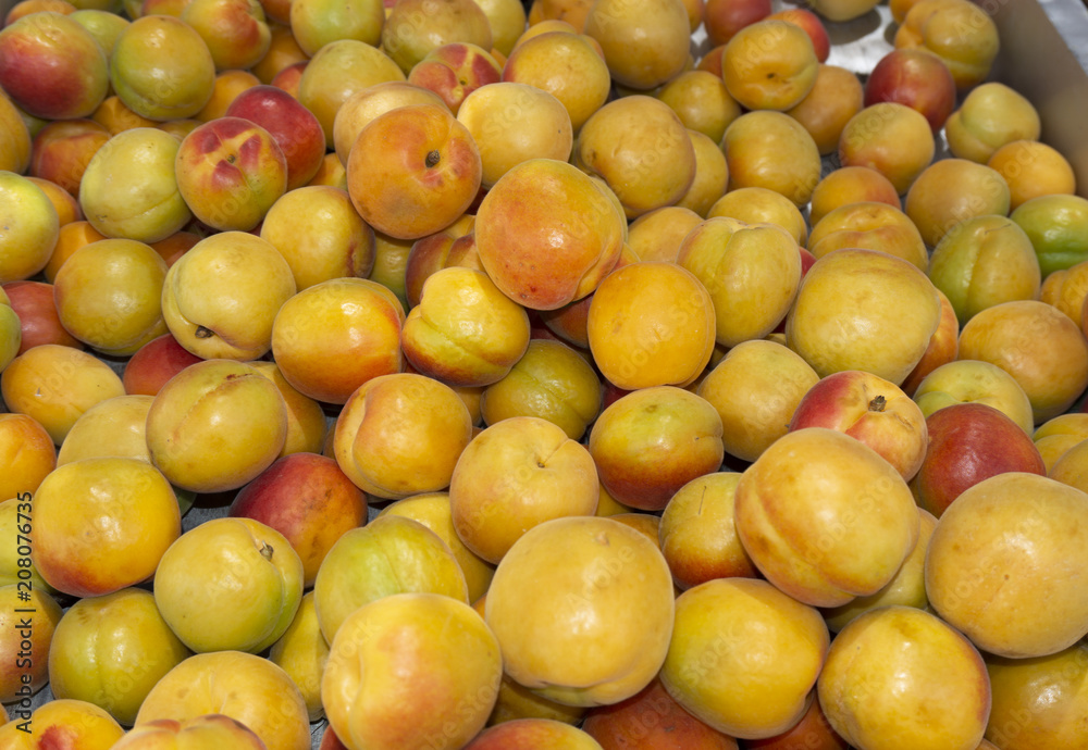 amount of apricots, in the market