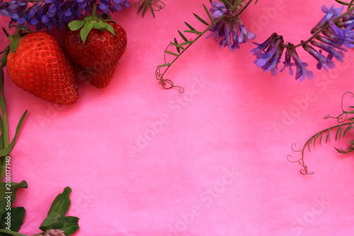 Summer season frame background with wildflowers and fresh strawberry on pink background. Copy space