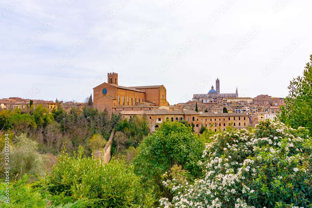 view of  the Basilica of Sain Domenico in Siena, Italy
