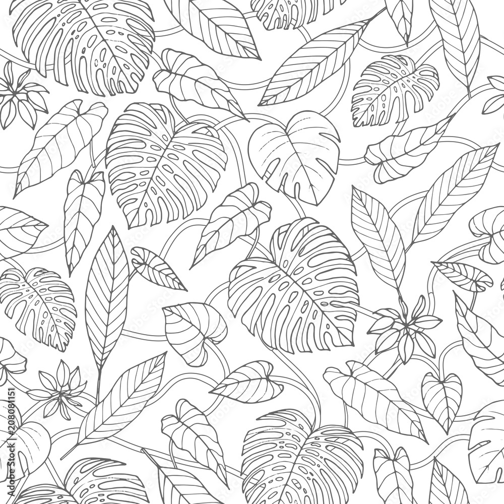 Vector tropical seamless pattern with lianas, monstera and banana leaves on the white background. Exotic foliage. Jungle coloring book design in sketch style.