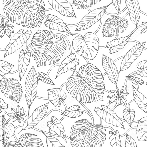 Vector tropical seamless pattern with lianas, monstera and banana leaves on the white background. Exotic foliage. Jungle coloring book design in sketch style.