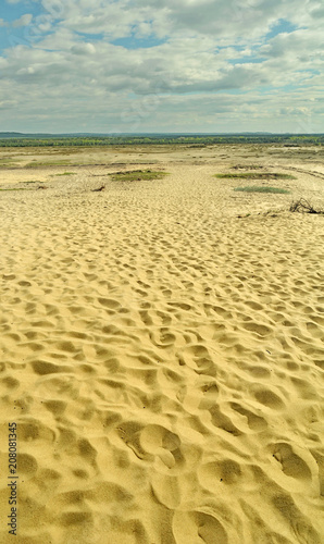 Bledów Desert - Pustynia B?edowska): an area of sands in Poland. largest accumulation of lsand in the Central Europe
