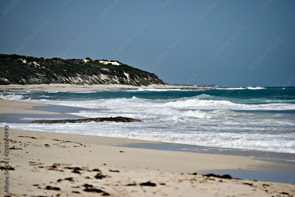 waves crashing onto a seaweed covered beach