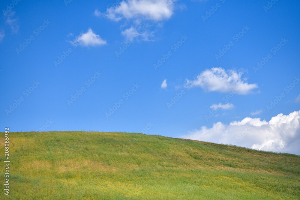 Green grass covered hill and blue sky with puffy clouds. Springtime in Sicily